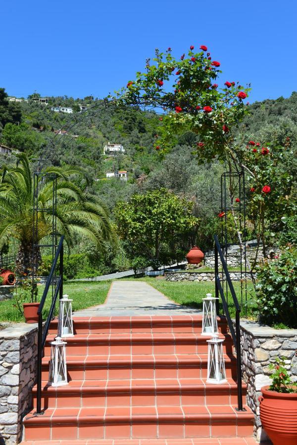 Skiathos-filokalia Achladies (Skiathos)